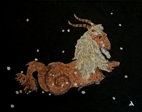 Capricorn Constallation