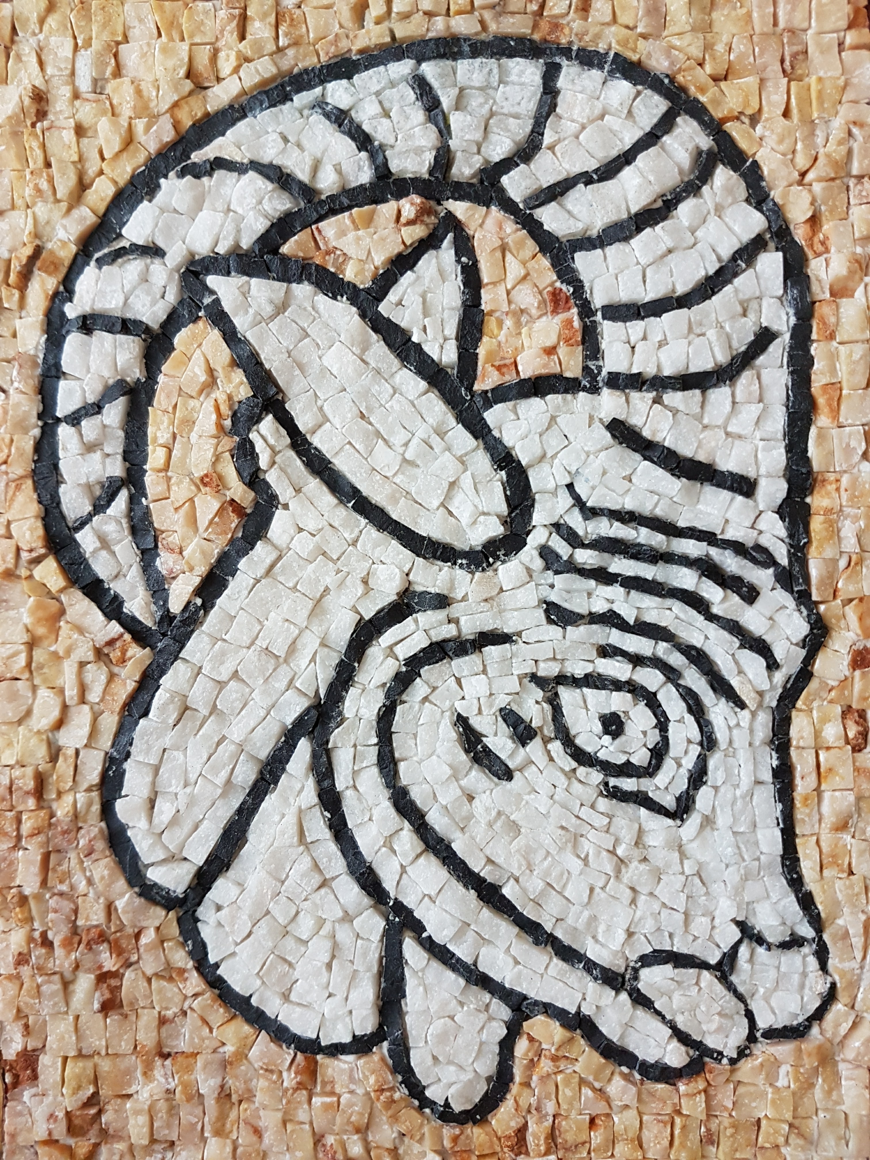 Capricorn 